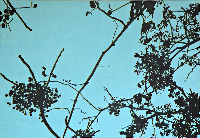 Sorbus 2009