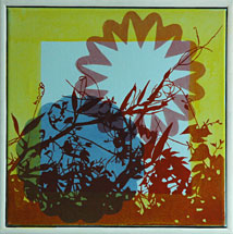 Erteblomst 2010